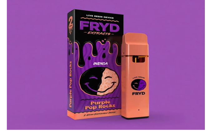 Fryd 2g Disposable: What Makes it Different?