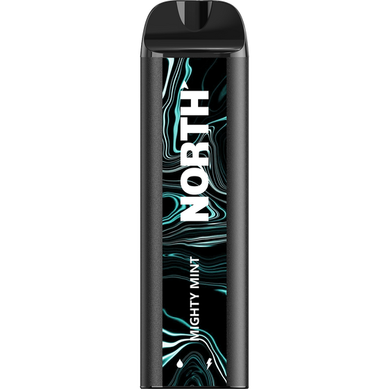 North Disposable Vape - Best Disposable Vapes - Lighterusa – Lighter USA
