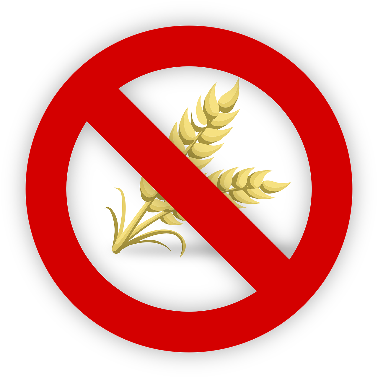 Free wheat gluten allergy vector